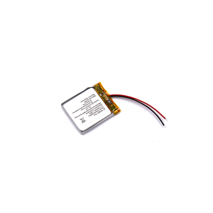BAKTH-402933P-1S-2 3.7V 320mAh Lithium Polymer Battery Pack Rechargeable Battery Pack for Wearable Devices